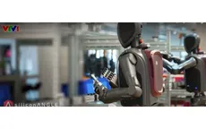 Hệ sinh thái AI dịch chuyển từ mô hình sang ứng dụng