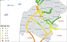 Cảnh báo độ mặn 4‰ xâm nhập sâu vào nội đồng tại An Giang