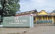 Yêu cầu truy xuất triệu hồi lô hàng đồ hộp Hạ Long không an toàn