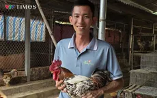 Chàng trai người Mường giữ giống gà chín cựa giữa đất Tổ