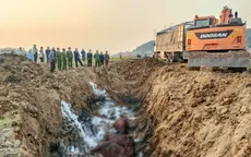 Bắc Ninh tiêu hủy 13 con trâu mắc lở mồm long móng đang trên đường đi tiêu thụ