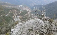 Các tỉnh, thành phố chủ động ứng phó với rét đậm, rét hại và gió mạnh trên biển