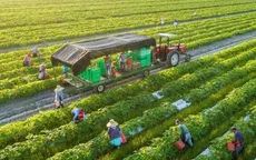 S&E Company đẩy mạnh mở rộng nền tảng agritech ứng dụng AI, ưu tiên triển khai tại Đà Lạt