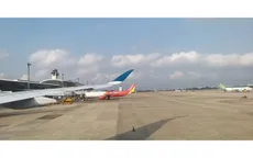 Giá cả biến động sát Tết: Lợn hơi tăng, xăng dầu giảm, vé máy bay vẫn cao