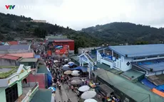 Lai Châu: Vùng biên Dào San thoát nghèo từ những con trâu, con ngựa giống