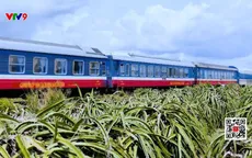 Đề xuất đầu tư để cải tạo đường sắt Hà Nội - TP. Hồ Chí Minh