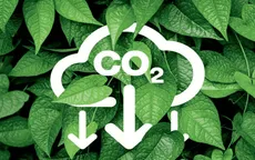 Quy định về sàn giao dịch carbon trong nước