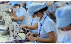 Quản trị dòng tiền: "Lá chắn" bảo vệ doanh nghiệp trước cơn lốc biến động giá nguyên liệu