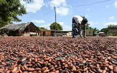 Giá ca cao bật tăng mạnh sau khi chạm đáy nhiều tháng