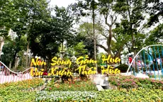 Sẽ có chiếu phim ngoài trời và trình diễn mapping tại Hội hoa xuân Tao Đàn Tết Bính Ngọ