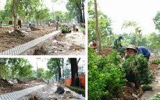 Người dân TP Hồ Chí Minh phấn khởi khi “đất vàng” được cải tạo thành vườn hoa Tết