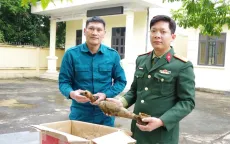 16 quả đạn cối được phát hiện, thu hồi dưới chân cầu Hòa Bình