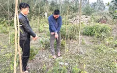 Khởi tố 2 đối tượng vào nghĩa trang sử dụng ma túy