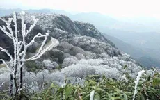 Rét đậm, rét hại bao trùm miền Bắc, kéo dài đến ngày 24/1