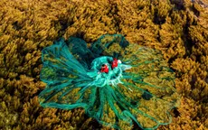 Gia Lai đặt du lịch xanh làm trụ cột phát triển dài hạn