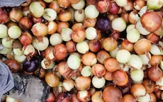 Hàng nghìn túi khoai tây chiên và hành tây trôi dạt vào bờ biển Anh