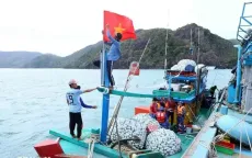 Nghị định mới về Luật Thủy sản: Tăng giám sát tàu cá, đơn giản hóa thủ tục hành chính