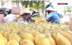 Minh bạch nguồn gốc để giữ uy tín đặc sản Tết