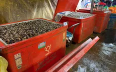 TP Hồ Chí Minh: Triệt phá đường dây ngâm thịt ốc bằng hóa chất công nghiệp quy mô đặc biệt lớn