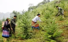 Tăng kinh phí bảo vệ rừng đặc dụng theo Nghị định mới của Chính phủ