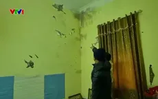 Nhiều nhà dân ở Phú Thọ nứt vỡ kéo dài, chưa rõ nguyên nhân