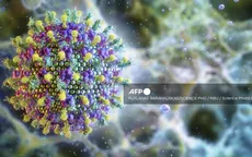 Sự bùng phát virus Nipah ở Ấn Độ làm dấy lên lo lắng ở Trung Quốc trước Tết Nguyên đán