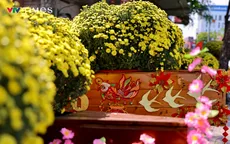 Hoa Tết bắt đầu khoe sắc trên nhiều tuyến đường TP Hồ Chí Minh