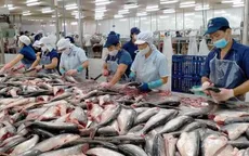 EU tăng cường kiểm soát thủy sản nhập khẩu