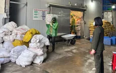 Hà Nội: Thu giữ hàng chục tấn lòng lợn bốc mùi, cấp đông nhiều tháng