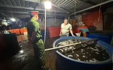 Ngăn thực phẩm bẩn, độc hại: Không thể chỉ trông chờ may rủi