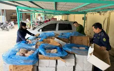 Hà Nội: Phát hiện gần 2 tấn xương lợn không rõ nguồn gốc đang trên đường đi tiêu thụ