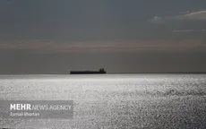 Nhiều tàu chiến chặn bắt tàu chở dầu ở eo biển Hormuz