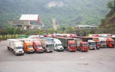 Hải quan trực 24/7 giải quyết thông quan thực phẩm nhập khẩu