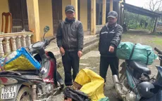 Chặn đứng hành vi khai thác, vận chuyển lâm sản trái phép