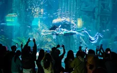 Hòn Tre bùng nổ mùa Tết với bộ ba siêu phẩm giải trí chưa từng có