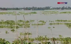 Xâm nhập mặn dự báo gia tăng dịp Tết tại Đồng bằng sông Cửu Long