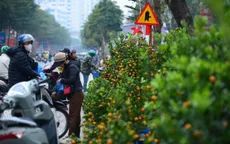 Sắc xuân xuống phố, người dân rục rịch sắm Tết