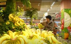 Chuối Tiến Vua khan hiếm do thời tiết, sản lượng giảm mạnh