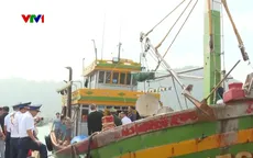 Ngư dân vùng biển Tây Nam phấn khởi về bờ đón Tết