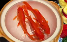 Tết Ông Công Ông Táo hay Tết Thần Bếp: Bếp còn ấm là nhà còn an