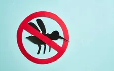 Sốt xuất huyết và tay chân miệng tại TP Hồ Chí Minh giảm mạnh