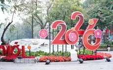 Phố phường Thủ đô ngập tràn sắc xuân