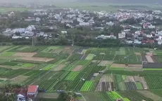 Sự hồi sinh của những mảnh đất sau thiên tai