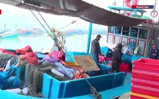 Ngư dân bám biển xuyên Tết, mong mùa cá bội thu