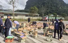 Quảng Trị: Khởi tố vụ buôn lậu thuốc lá điện tử quy mô lớn qua cửa khẩu Cha Lo