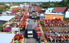 Sắc xuân rực rỡ khắp ba miền