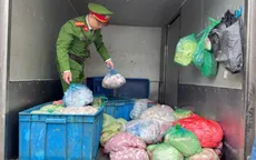 Hà Nội: Phát hiện xe tải vận chuyển 350kg nội tạng động vật không rõ nguồn gốc