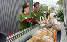 Thanh Hóa: Triệt phá đường dây mua bán, nấu cao hổ Nhóm IB