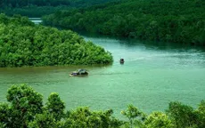 Một ngày du xuân Cần Giờ, trọn niềm vui cho cả gia đình, vẹn ký ức cho nhiều mùa Tết