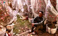 Đêm trắng mưu sinh tại chợ hoa Tết TP Hồ Chí Minh